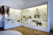 museum de histoire naturelle troyes 8-2025 2803